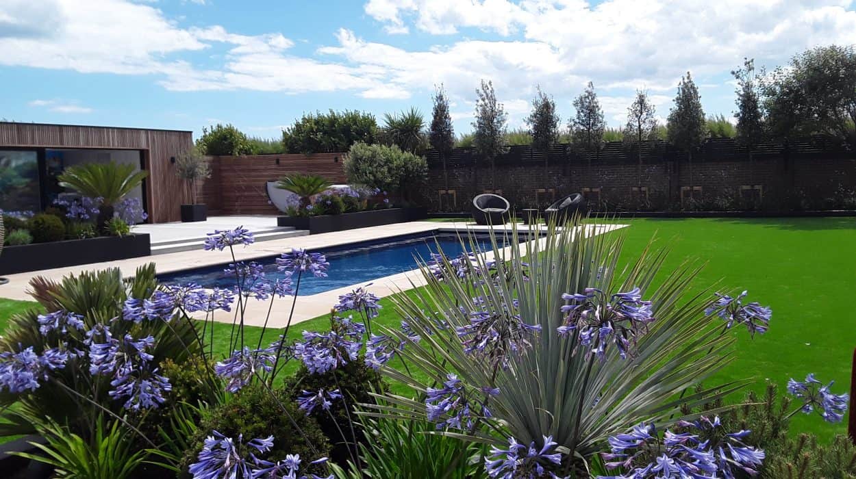 Xl Trainer - Nova Blue