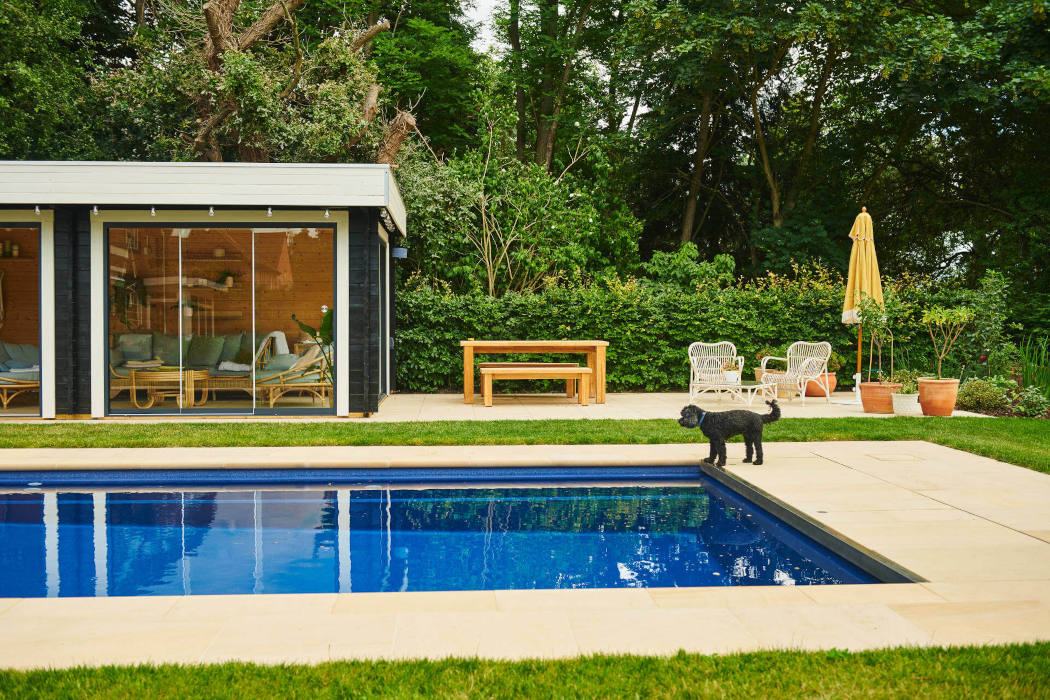 dog-by-the-outdoor-pool