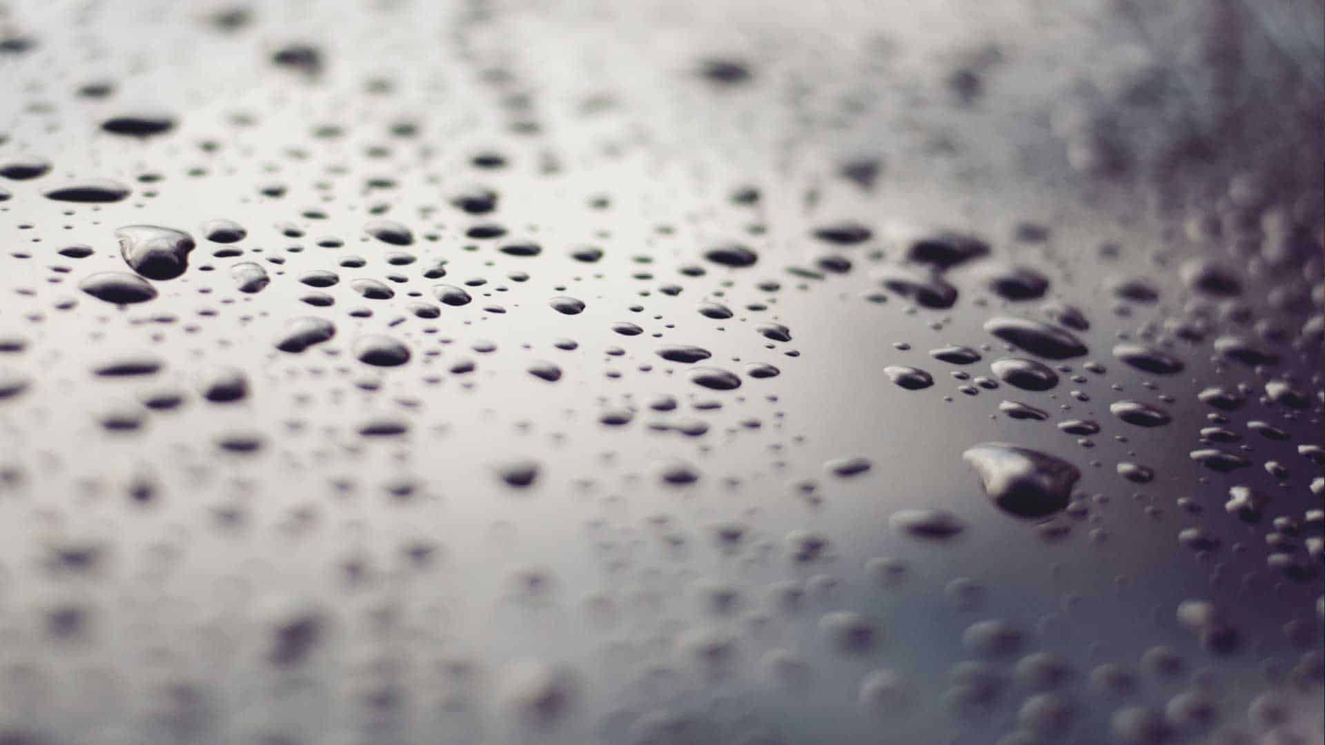 Compass Pools Condensation