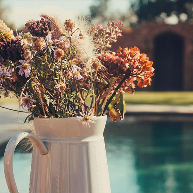 Planter in front of Pool
