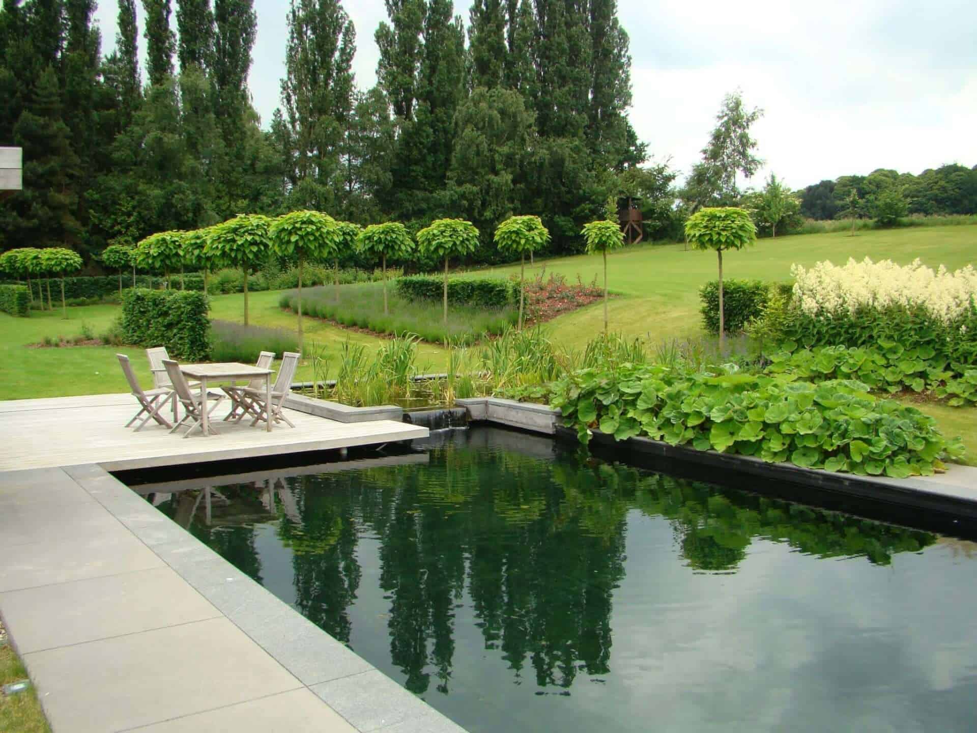 Natural, outdoor garden pool