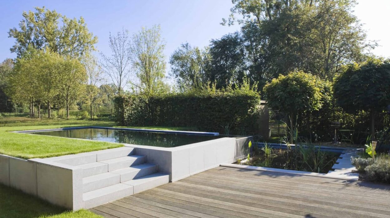 Natural Swimming Pool Outside