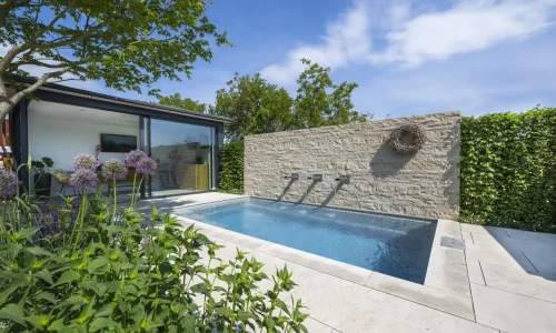 Small contemporary plunge pool with stone wall water features and a landscaped garden surrounding a modern home.